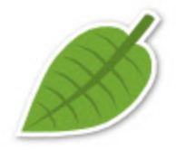 Leaf Browser